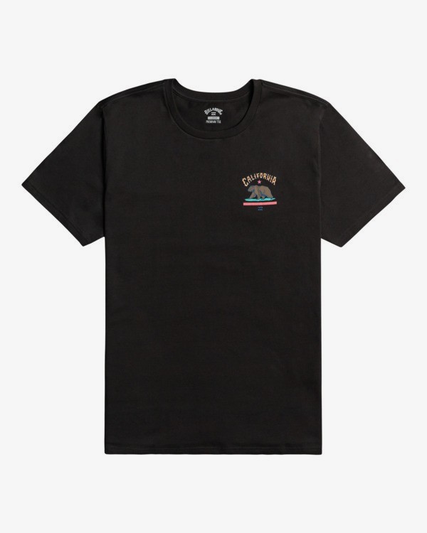 0 Dreamy Places - T-shirt pour Homme  Z1SS39BIF1 Billabong