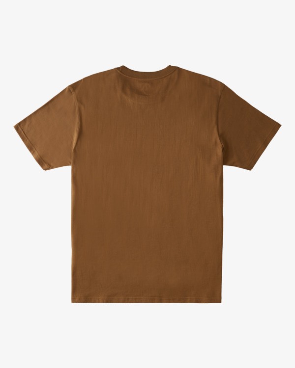 1 Glacier Runoff Aerial - T-shirt pour Homme Marron Z1SS51BIF1 Billabong