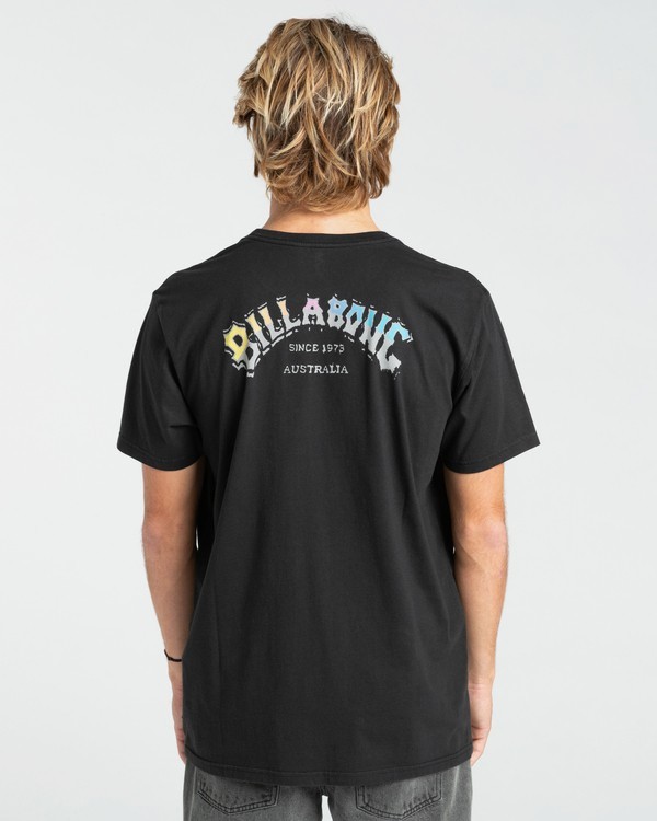 2 Heritage - T-Shirt for Men  Z1SS55BIF1 Billabong