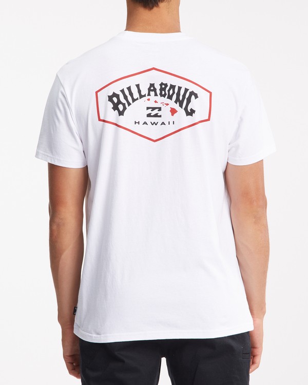 2 Access Island - T-shirt pour Homme Blanc Z1SS83BIF1 Billabong