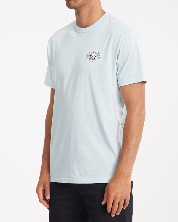 3 Arch Hawaii - T-Shirt for Men  Z1SS87BIF1 Billabong