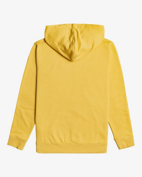 4 All Day - Sweat à capuche pour Garçon  Z2FL11BIF1 Billabong