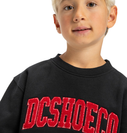 dcshoes, Varsity - Felpa da Ragazzo 8-16, BLACK (kvj0) Varsity - Sweatshirt for Boys 8-16  ADBFT03072