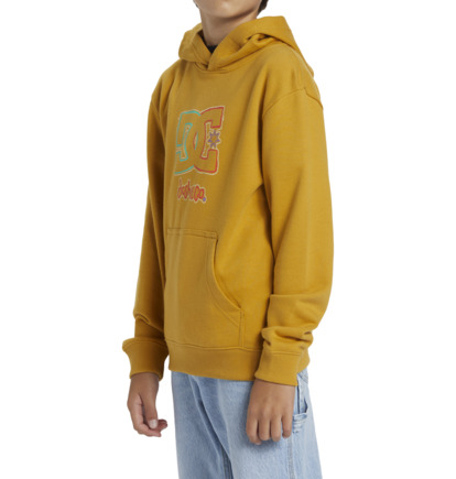 New Deals - Pullover Hoodie for Boys  ADBSF03049