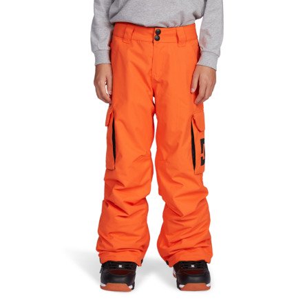 DC Boys Snowboarding outlet Pants Size Small