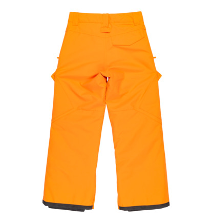 dcshoes, Banshee - Funktionelle Schneehose für Jungen 8-16, ORIOLE (nls0) Banshee - Technical Snow Pants for Boys 8-16  ADBTP03011