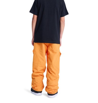 Banshee - Technical Snow Pants for Boys 8-16  ADBTP03011