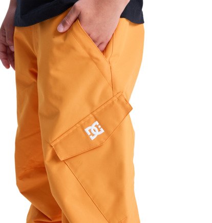 dcshoes, Banshee - Funktionelle Schneehose für Jungen 8-16, ORIOLE (nls0) Banshee - Technical Snow Pants for Boys 8-16  ADBTP03011