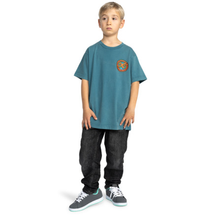 Spinner - Short Sleeves T-Shirt for Boys 8 - 16  ADBZT03304