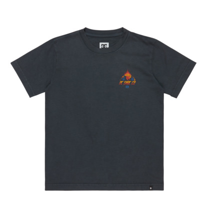 Free Fall - Short Sleeves T-Shirt for Boys 8 - 16  ADBZT03306