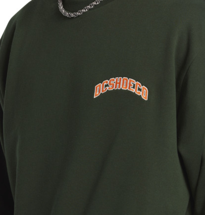 Varsity - Pullover Sweatshirt for Men  ADYFT03430