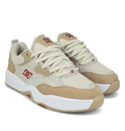 DC Ascend - Laceup Shoes for Men  ADYS100844