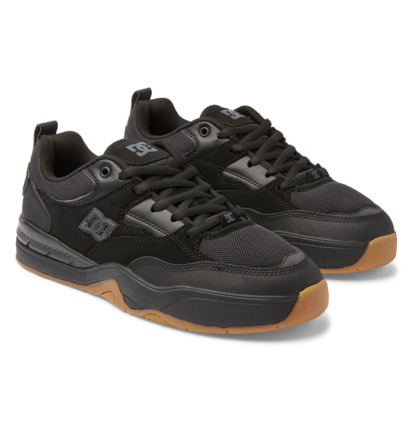 DC Ascend - Laceup Shoes for Men  ADYS100844