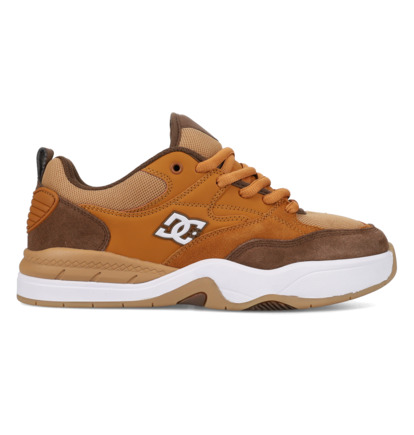 DC Ascend S - Leather Skate shoes for Men  ADYS100852