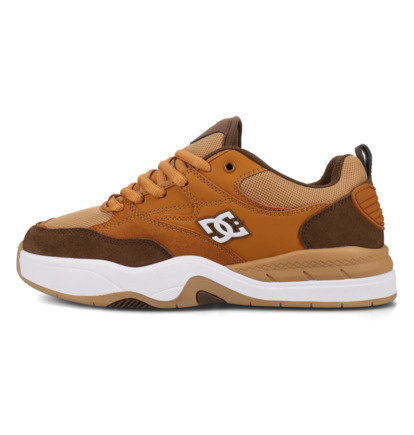 DC Ascend S - Leather Skate shoes for Men  ADYS100852
