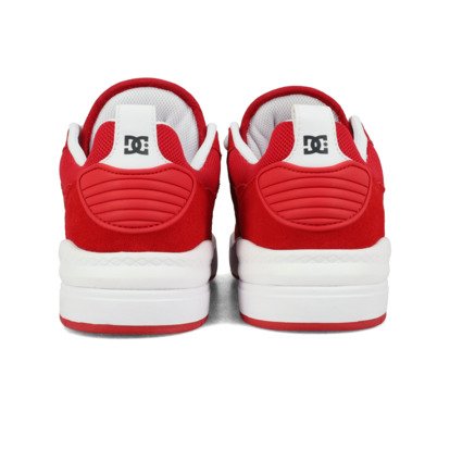 DC Ascend Le - Lace Up Shoes for Men  ADYS100856