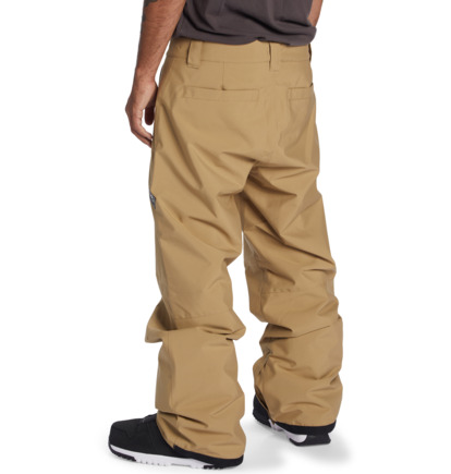 DC Snow - Technical Snow Pants for Men  ADYTP03054