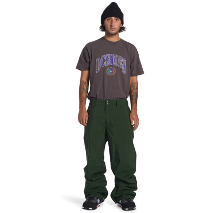 DC Snow - Technical Snow Pants for Men  ADYTP03054