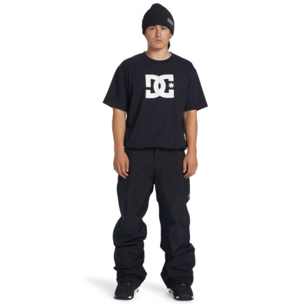 DC Snow - Technical Snow Pants for Men  ADYTP03054