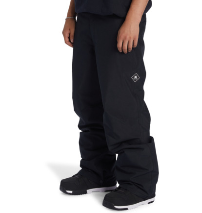 DC Snow - Technical Snow Pants for Men  ADYTP03054