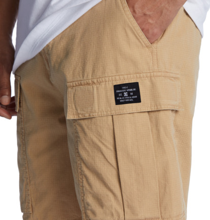 Tundra - Cargo Shorts for Men  ADYWS03068