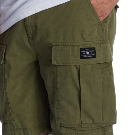 Tundra - Cargo Shorts for Men  ADYWS03068