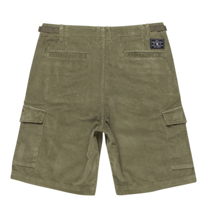 Pipeline 22.5" - Cargo Walkshorts for Men  ADYWS03081