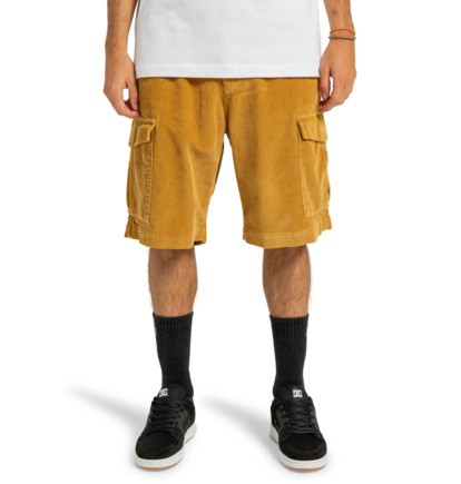 Pipeline 22.5" - Cargo Walkshorts for Men  ADYWS03081