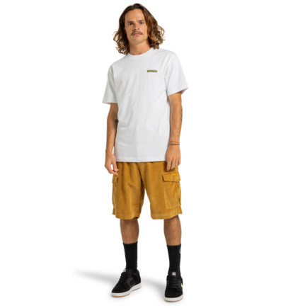 Pipeline 22.5" - Cargo Walkshorts for Men  ADYWS03081