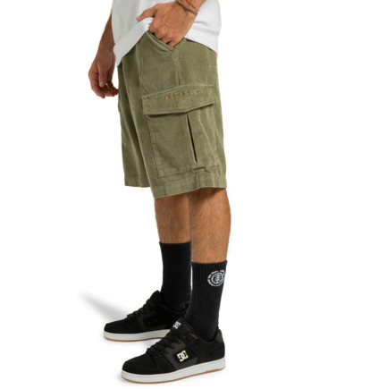 Pipeline 22.5" - Cargo Walkshorts for Men  ADYWS03081