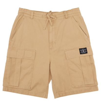 Tundra 22" - Cargo Walkshorts for Men  ADYWS03086