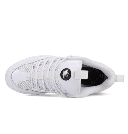 dcshoes, Lucien - Shoes for Men, WHITE (wht) Lucien - Shoes for Men  DC01725101
