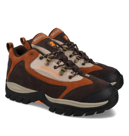 dcshoes, Recon - Boots mit Schnürsenkeln für Männer, BROWN/BROWN (210) Recon - Lace-Up Boots for Men  DC02635