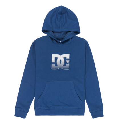 DC Star Reflective - Hoodie for Boys 8-16  EDBSF03120