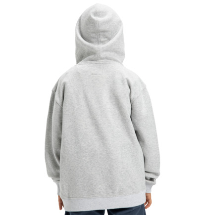 dcshoes, Substitute - Felpa con cappuccio da Ragazzo 8-16, LIGHT HEATHER GREY (sfrh) Substitute - Hoodie for Boys 8-16  EDBSF03127