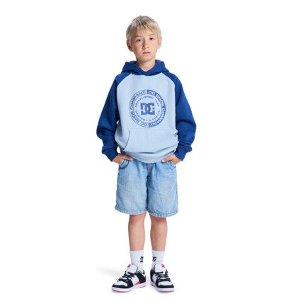 dcshoes, DC Corpo Raglan - Felpa con cappuccio da Ragazzo 8-16, BLUE FOG (bgj0) DC Corpo Raglan - Hoodie for Boys 8-16  EDBSF03133