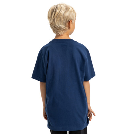 dcshoes, Substitute - Maglietta a maniche corte da Ragazzo 8-16, ESTATE BLUE (bsw0) Substitute - Short Sleeve T-Shirt for Boys 8-16  EDBZT03429
