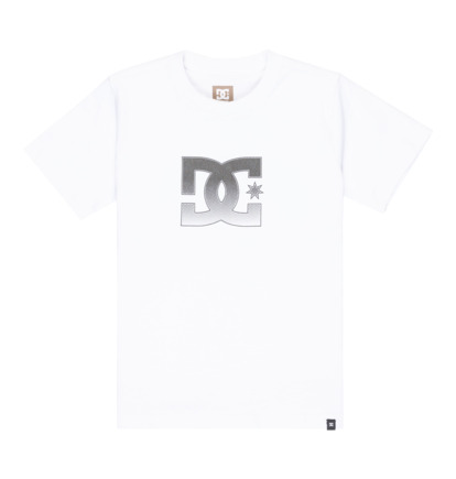 DC Star Reflective - Short Sleeve T-Shirt for Boys 8-16  EDBZT03435