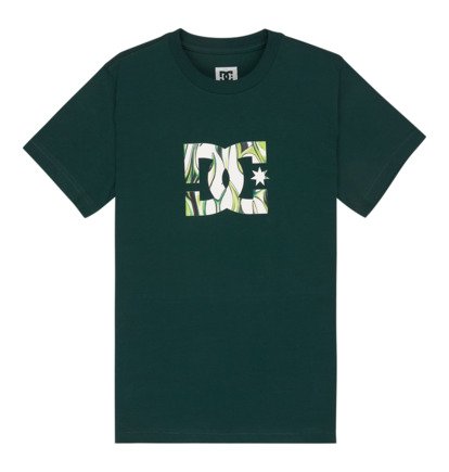 DC Star Filled - Short Sleeve T-Shirt for Boys 8-16  EDBZT03446