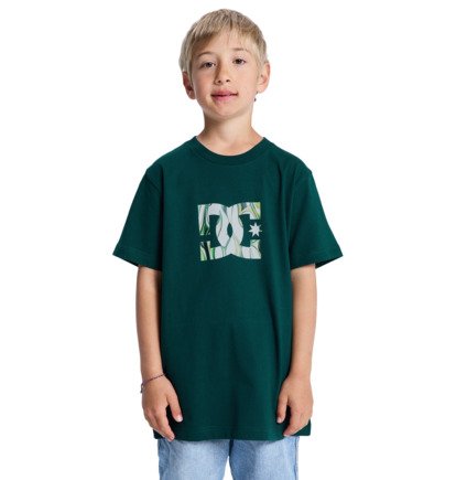 DC Star Filled - Short Sleeve T-Shirt for Boys 8-16  EDBZT03446