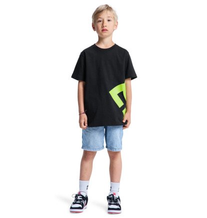 Lanai - Short Sleeve T-Shirt for Boys 8-16  EDBZT03457