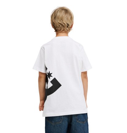 Lanai - Short Sleeve T-Shirt for Boys 8-16  EDBZT03457