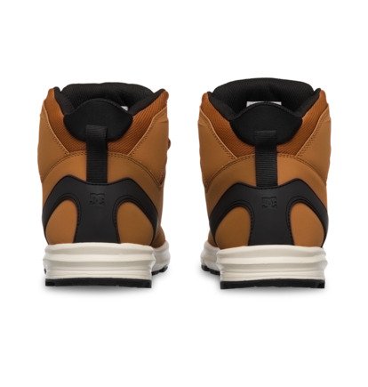 DC Rangex  EDYB500001
