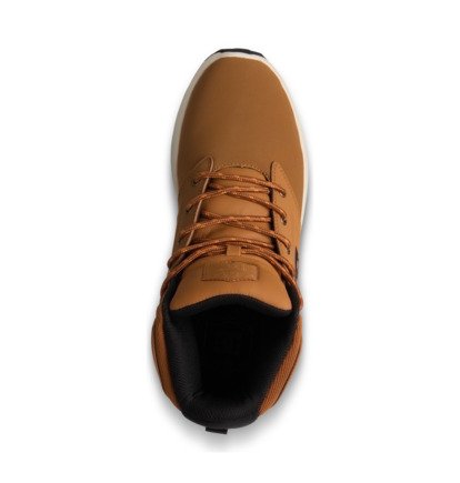 DC Rangex  EDYB500001
