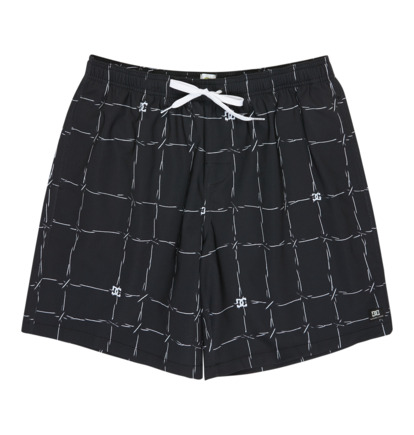 DC Wired Volley 19" - Swim Shorts for Men  EDYJV03030