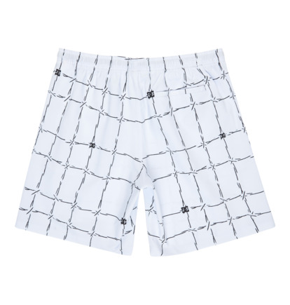 DC Wired Volley 19" - Swim Shorts for Men  EDYJV03030