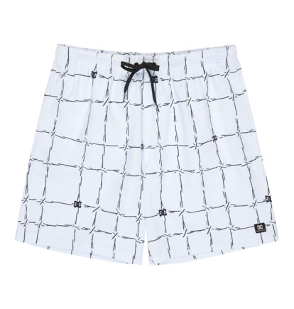 DC Wired Volley 19" - Swim Shorts for Men  EDYJV03030