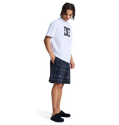 DC Wired Volley 19" - Swim Shorts for Men  EDYJV03030