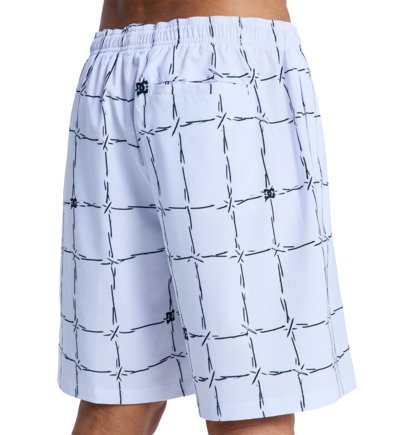 DC Wired Volley 19" - Swim Shorts for Men  EDYJV03030
