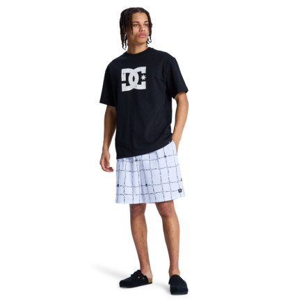 DC Wired Volley 19" - Swim Shorts for Men  EDYJV03030